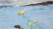 Juegos en la nieve - Richard Friese — vista de la obra
