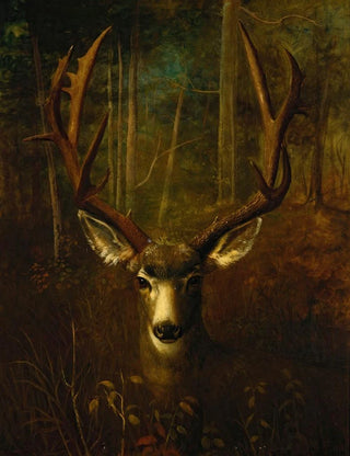 Richard La Barre Goodwin - Stag Resting Colorado Springs.webp