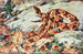 Serpent copper head and coral snake - Robert Bruce Horsfall — artwork view