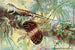 The Flying Dragon - Robert Bruce Horsfall — artwork view