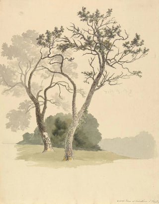 Robert Hills - Orchard Trees at Under River near Knole.webp