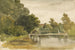 Reflections in a wooded pond - Robert Hills — artwork view