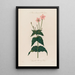 A plate to illustrate the word Genre Longtubed Wonder of Peru - Robert John Thornton — framed artwork on a wall