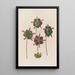 Anatomy of the Sarracenia or Pitcher Plant - Robert John Thornton — framed artwork on a wall