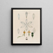 Anatomy of the White Lily - Robert John Thornton — framed artwork on a wall