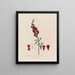 Antirrhinum majus o boca de lobo grande - Robert John Thornton — cuadro enmarcado en la pared