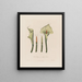 Calla éthiopienne ou Calla africaine - Robert John Thornton — framed artwork on a wall