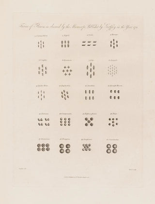 Robert John Thornton - Farina of Flowers as observed by the Microscope.webp