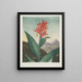 Roseau indio - Robert John Thornton — cuadro enmarcado en la pared