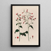 Nicotiana Tabac - Robert John Thornton — cuadro enmarcado en la pared