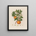 Naranja - Robert John Thornton — cuadro enmarcado en la pared