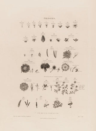 Robert John Thornton - Orders.webp