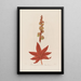Ricinus communis o Palma Christi commun - Robert John Thornton — cuadro enmarcado en la pared