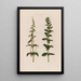 Les deux sexes sur des plantes différentes Épinard - Robert John Thornton — framed artwork on a wall