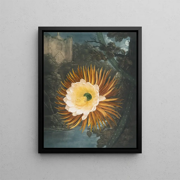 El Cactus soplando la noche - Robert John Thornton — cuadro enmarcado en la pared