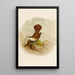 The World of North American Birds pl10 - Robert Ridgway — framed artwork on a wall