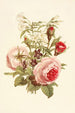 Rosa mousse Violette odorante Jazmín blanco - Robert Tyas — vista de la obra