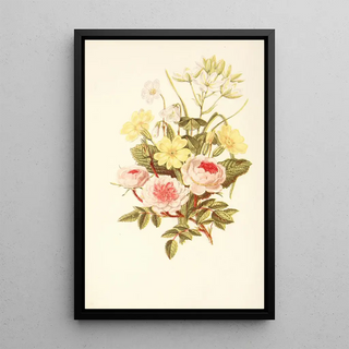 Robert Tyas - Pompon Rose Star of Bethlehem Primrose Wood Sorrel.webp