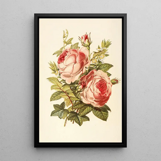 Robert Tyas - Rose Myrtle Ivy.webp