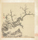 Rocher, árbol viejo y bambú - Chen Hongshou — vista de la obra