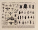 Atlas de la fauna de Brasil Pl08 - Rodolpho von Ihering — vista de la obra