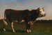 Rey del rebaño - Rosa Bonheur — vista de la obra
