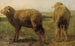 Ovejas en un prado - Rosa Bonheur — vista de la obra