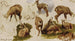 Études d'un isard - Rosa Bonheur — artwork view