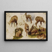 Études d'un isard - Rosa Bonheur — framed artwork on a wall