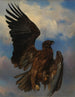 L'aigle blessé - Rosa Bonheur — artwork view