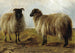 Dos carneros en un paisaje - Rosa Bonheur — vista de la obra