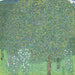 Roseraies sous les arbres - Gustav Klimt — vista de la obra