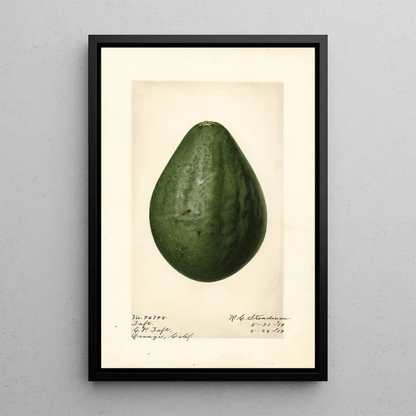 Persea Taft - Royal Charles Steadman - Royal Charles Steadman | Cuadro — cuadro enmarcado en la pared