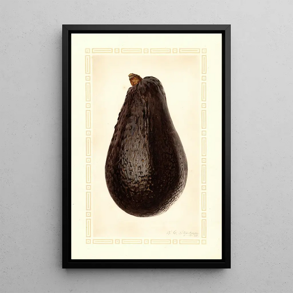 Persea Thompson - Royal Charles Steadman - Royal Charles Steadman — cuadro enmarcado en la pared