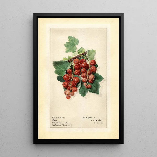 Ribes Fay - Royal Charles Steadman - Royal Charles Steadman — cuadro enmarcado en la pared
