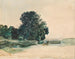 Estudio de un árbol - Rudolf von Alt — vista de la obra