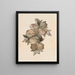 Fruit of the Pomegranate - Rufus King — framed artwork on a wall