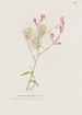 Gaura - S Fred Prince — vista de la obra