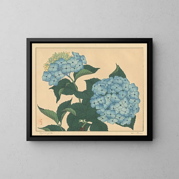 Hortensia - Sakai Hōitsu — cuadro enmarcado en la pared