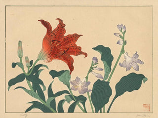 Sakai Hoitsu - Lily.webp