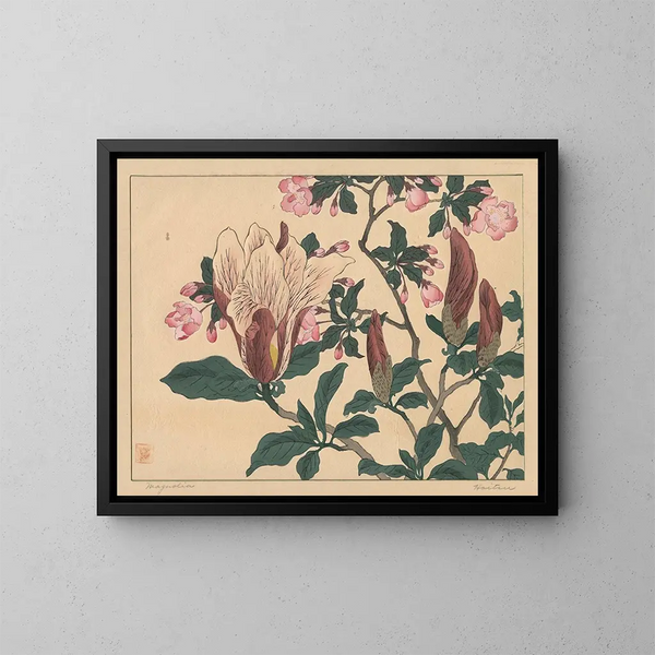 Magnolia - Sakai Hōitsu — cuadro enmarcado en la pared