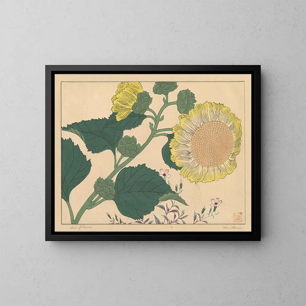 Girasoles - Sakai Hōitsu — cuadro enmarcado en la pared
