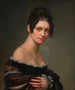 Retrato de una joven mujer - Salomon-Guillaume Counis — vista de la obra
