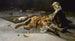 A Vigilant Eye La Veille - Salvador Sánchez Barbudo — artwork view
