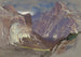 Half Dome y Royal Arches, Yosemite desde Glacier Point - Samuel Colman — vista de la obra