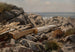 Playa rocosa costa pacífica - Samuel Colman — vista de la obra