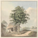 de Samuel Davis — vista de la obra