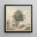 de Samuel Davis — cuadro enmarcado en la pared