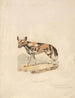 Perro Abyssin - Samuel Howitt — vista de la obra