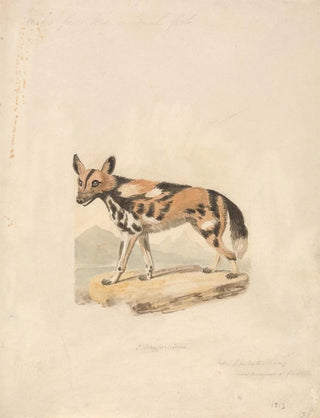 Samuel Howitt - Abyssinian Dog.webp